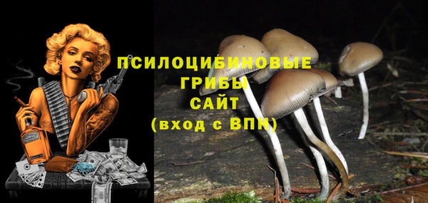 трава Козельск