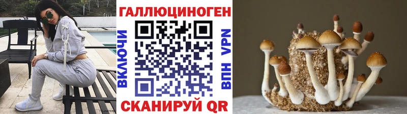 Купить  Новый Оскол  Псилоцибиновые грибы Magic Shrooms 